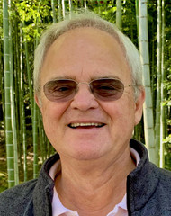 Harry von den Stemmen